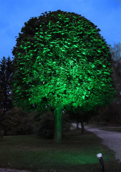 Spotlight LED, E27, 230 V/ 13 W, grün