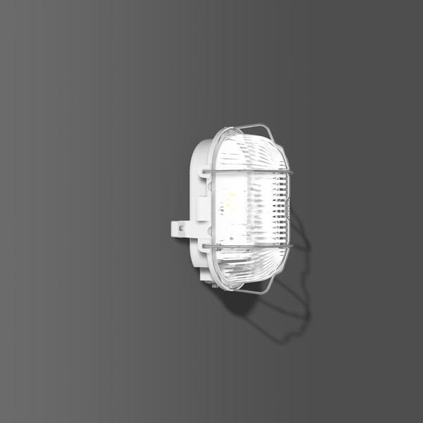 RZB LED-Ovalleuchte Iso 9,1W 4000K 176x122x110 IP44 grau